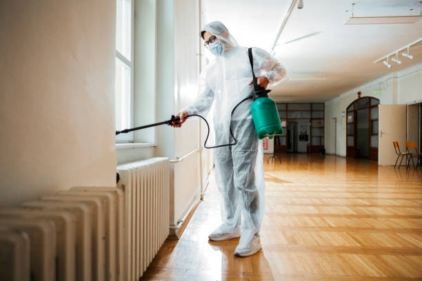 Reliable Rosenhayn, NJ Pest control Solutions